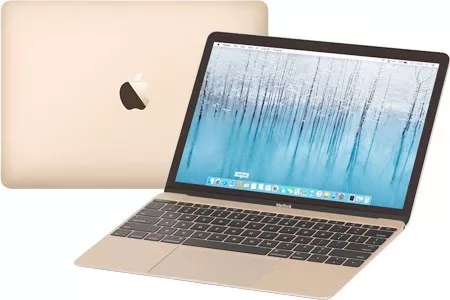 Macbook 12-Inch Macbook: 1.2Ghz Dual-Core Intel Core M3, 256Gb -  Gold(Mnyk2Sa/A)